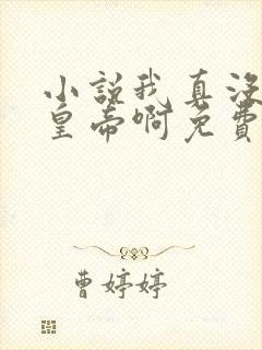 小说我真没想当皇帝啊免费阅读