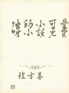 他的小可爱超甜呀小说免费阅读封面