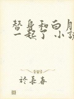 替身和白月光在一起了 小说封面