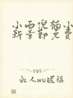 小雨倪楠小说最新章节免费阅读