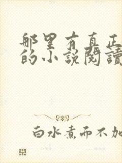 那里有真正免费的小说阅读