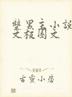 双男主小说甜宠文校园文封面