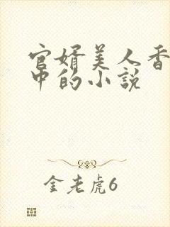 官婿美人香刘志中的小说