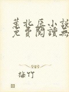 叶北辰小说全文免费阅读无弹窗最新章节