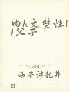 肉h文双性1v1父子