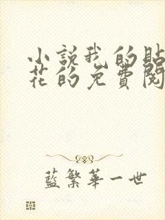 小说我的贴身校花的免费阅读