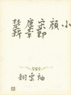 楚尘宋颜小说最新章节