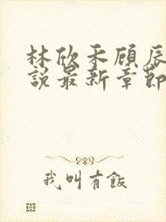 林欣禾顾辰昀小说最新章节免费阅读