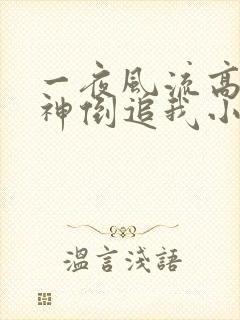 一夜风流高冷女神倒追我小说免费阅读无弹窗