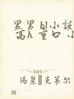 男男 bl小说 高h 重口 小说