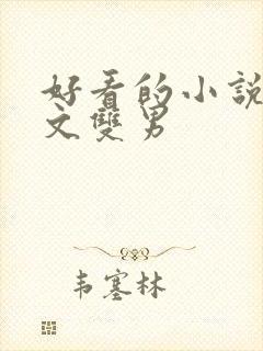 好看的小说高干文双男