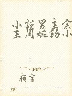 小说男主余年女主周婉的小说