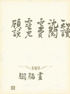 顾霆云沈知秋小说免费阅读最新章节封面