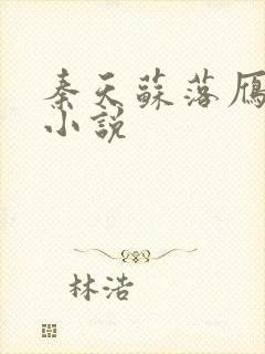 秦天苏落雁张池小说