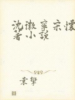 沈徽宁宋怀砚原著小说