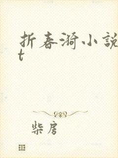 折春漪小说txt封面