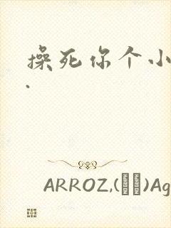 操死你个小骚货.