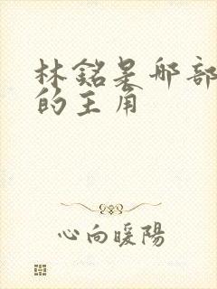 林铭是哪部小说的主角封面