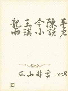 龙王令陈平,苏雨琪小说免费