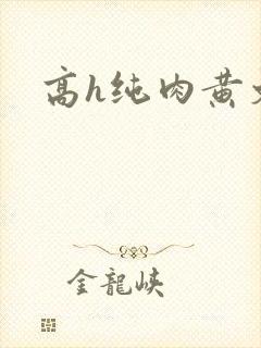 高h纯肉黄文