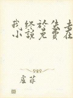 我终于失去了你小说免费在线阅读