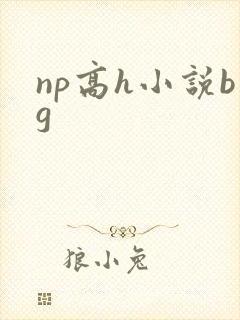 np高h小说bg