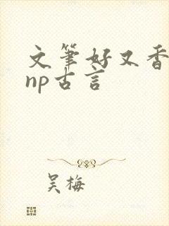 文笔好又香艳的np古言