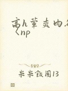 高h荤爽肉欲文〈np