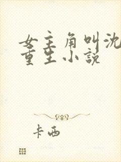 女主角叫沈离的重生小说封面