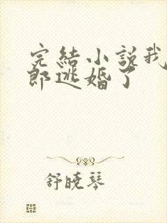 完结小说我的新郎逃婚了封面