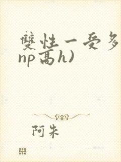 双性一受多攻(np高h)封面