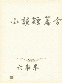 小说短篇合集h