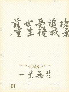 前世受追攻很久,重生后放弃了封面