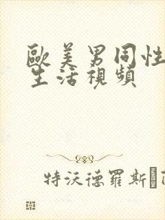 欧美男同性恋性生活视频