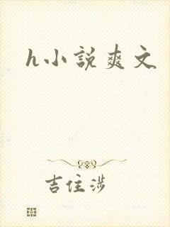 h小说爽文