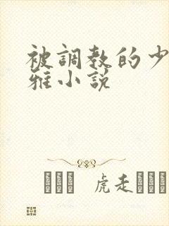 被调教的少妇张雅小说