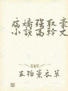 病娇强取豪夺的小说高干文