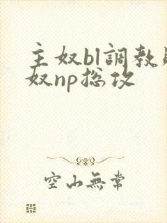 主奴bl调教贱奴np总攻