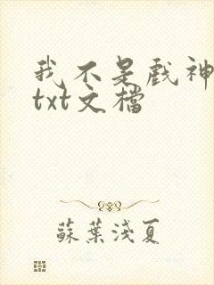 我不是戏神小说txt文档封面