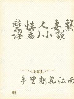 双性人妻系列(淫篇)小说