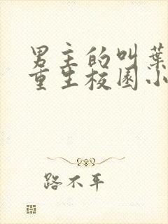 男主的叫叶凡从重生校园小说