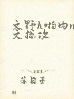 文野h啪肉np文总攻封面