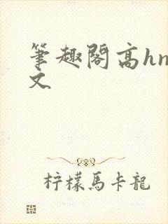 笔趣阁高hnp文
