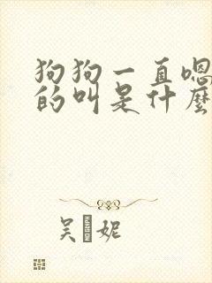 狗狗一直嗯嗯嗯的叫是什么意思