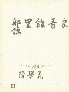 哪里能看良陈美锦