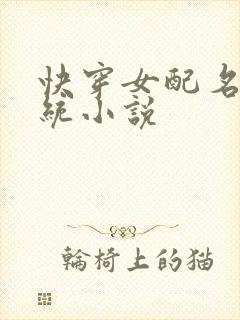 快穿女配名器系统小说