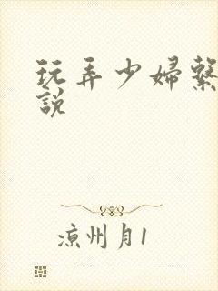 玩弄少妇系列小说