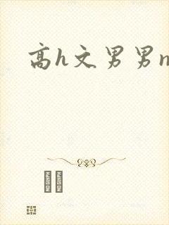 高h文男男np