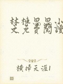林栋思思小说全文免费阅读封面