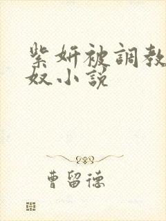 紫妍被调教成肉奴小说